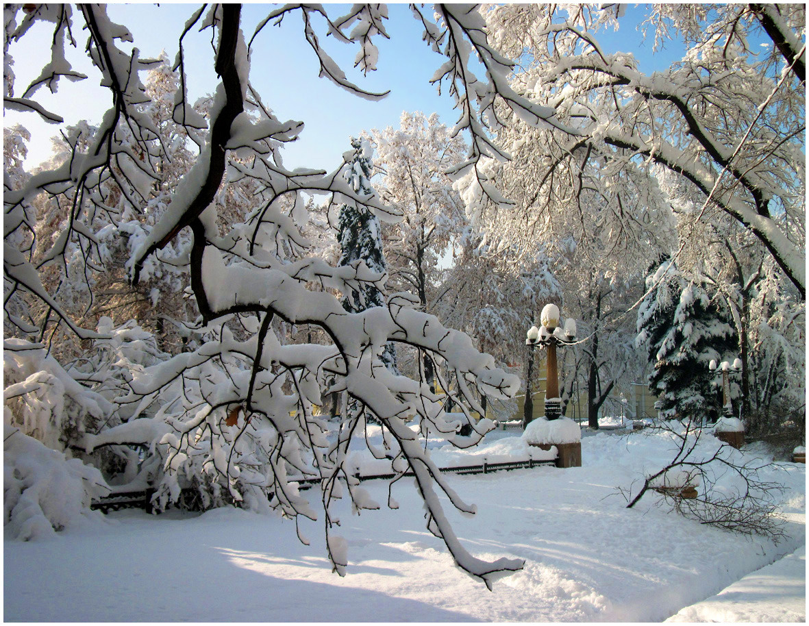 Первое декабря 2012 зима, первый снег