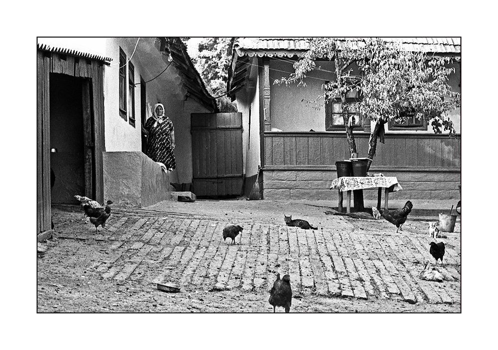 Сельский двор... Тишина. 