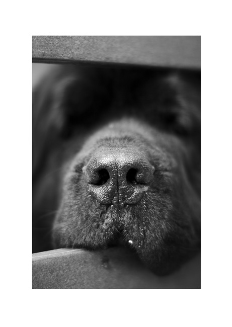 50/1.2 