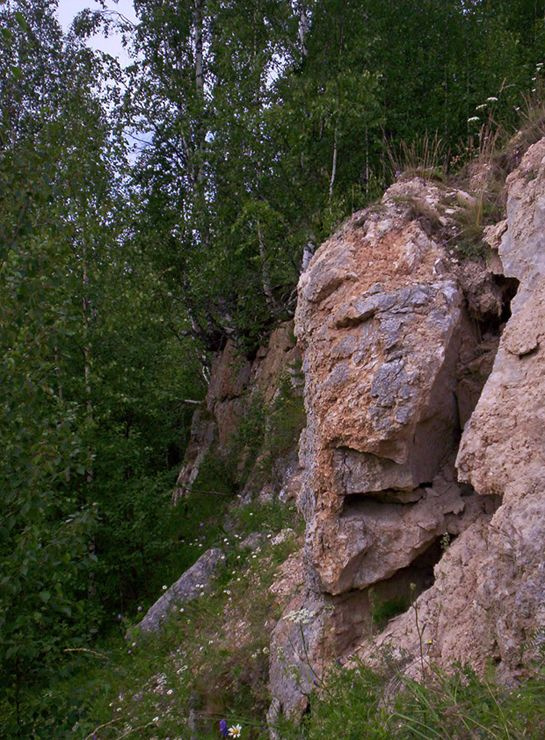 Указатель лес скала стрела