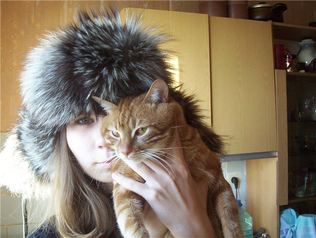 девушка с севера кухня кот я