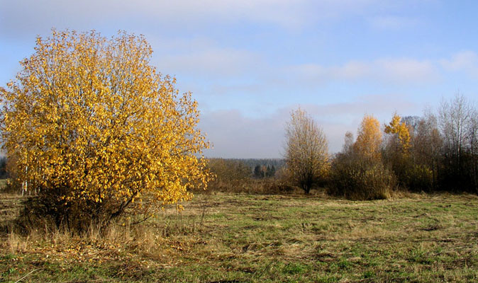*** Осень