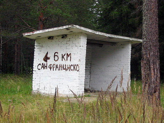 Подмосковный портал лес остановка