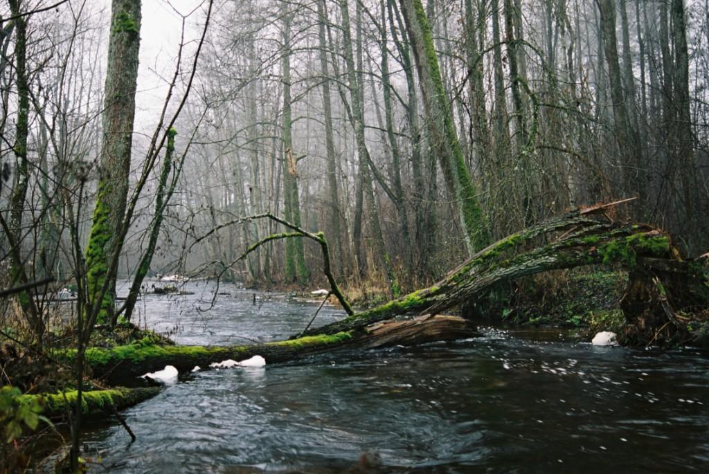 депрессия река, лес, озеро