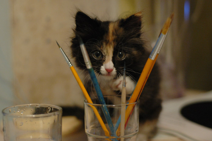 Акварели котенок, кисточки, краски