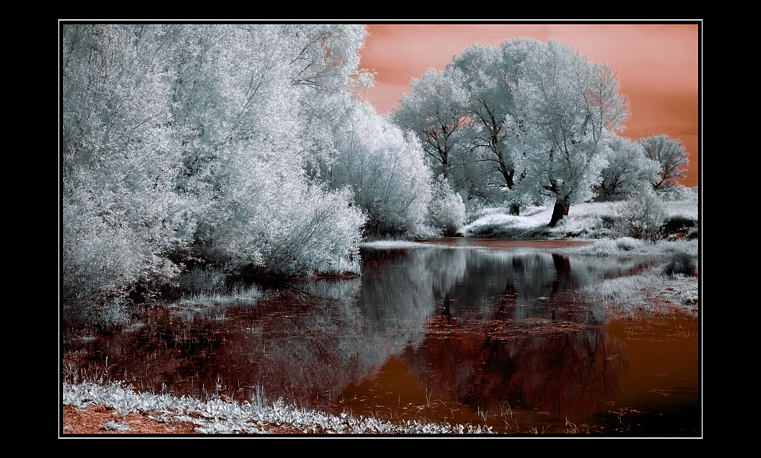 *** ик природа