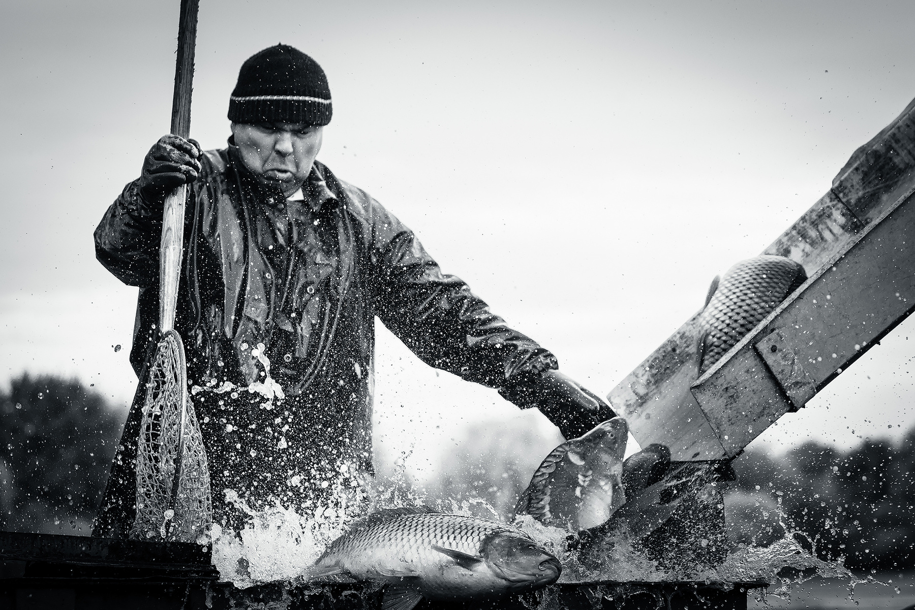 From catching fish 