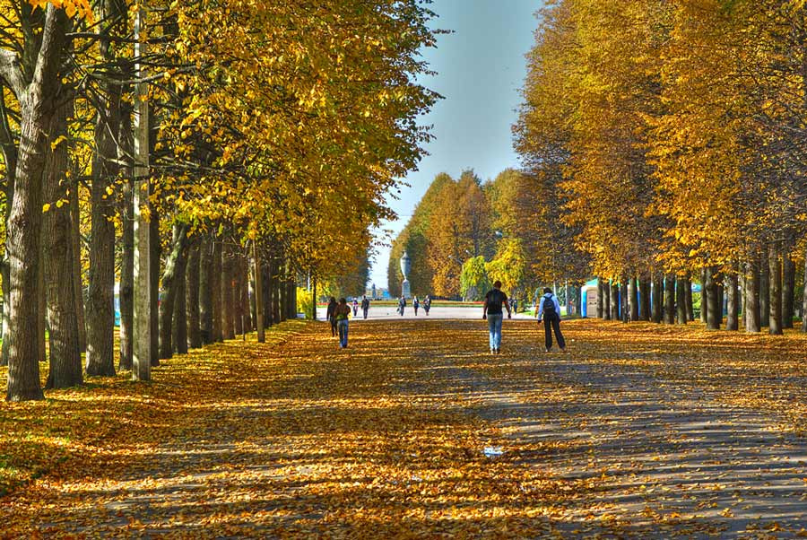 Осенняя перШпектива 