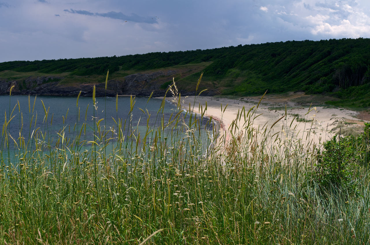 Синеморец море синеморец болгария пляж песок
