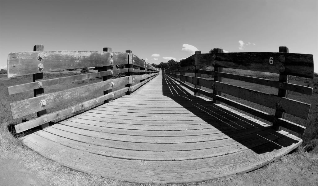 мост bridge, blackandwhite