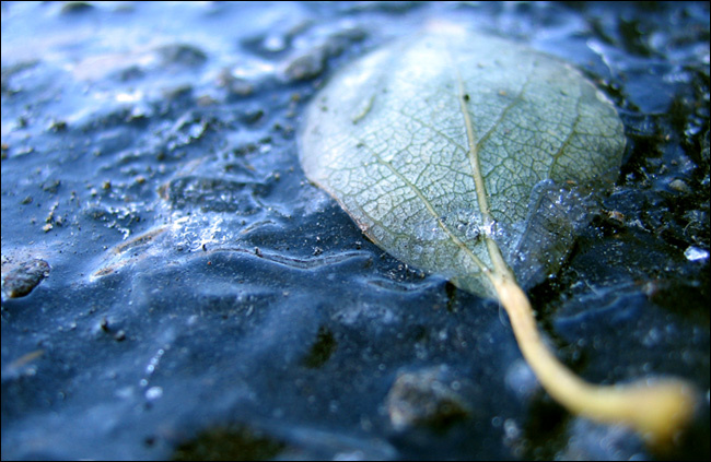 [trapped] 