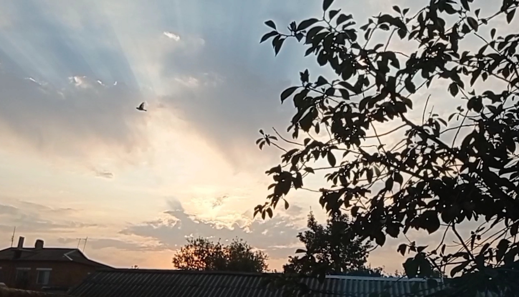 Взгляд уходящего дня! 