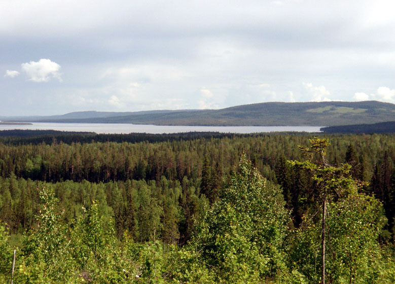 Дорога в облака 