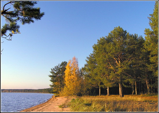 *** берег Онежского озера