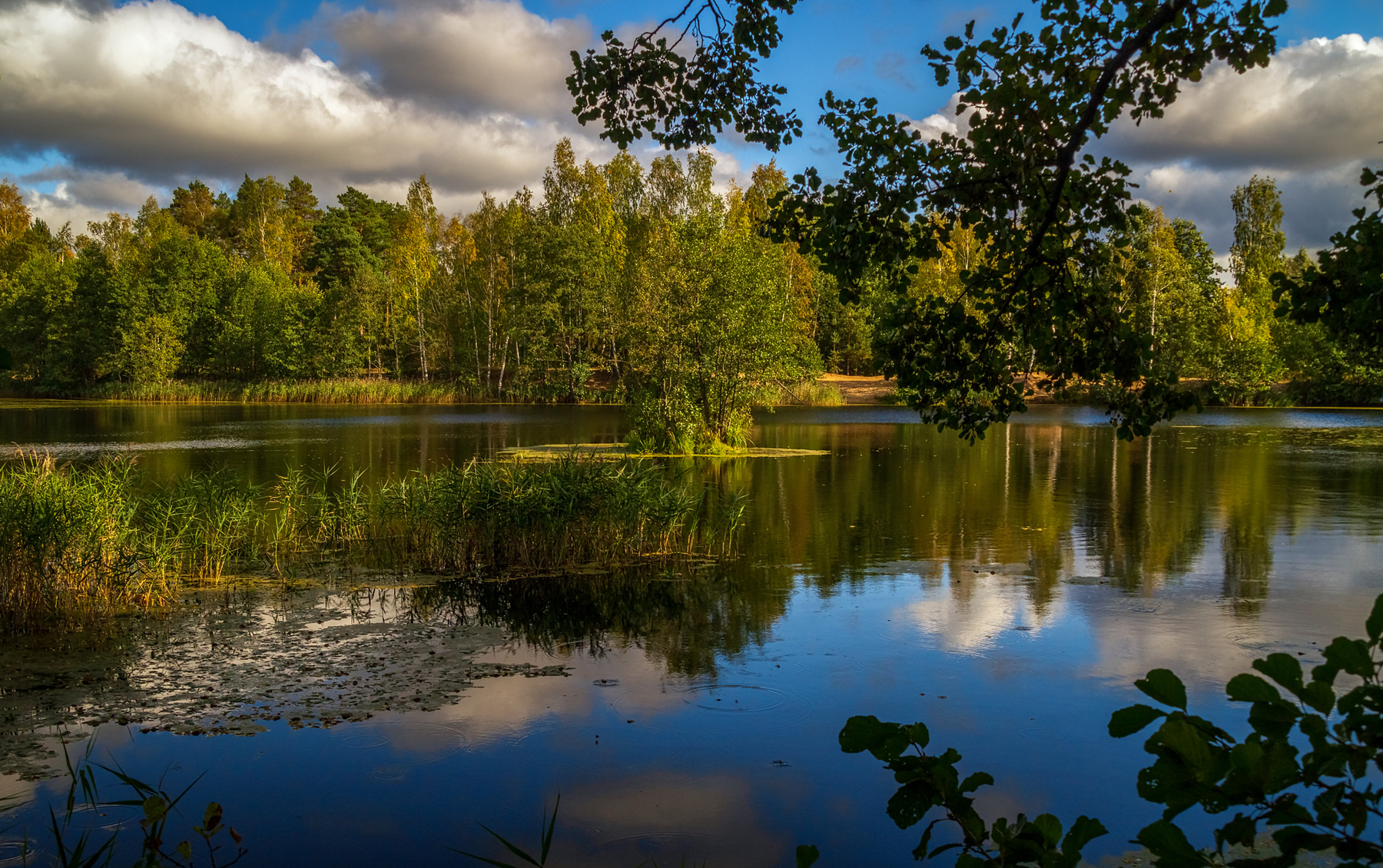 Теплая Подмосковная Осень # V 