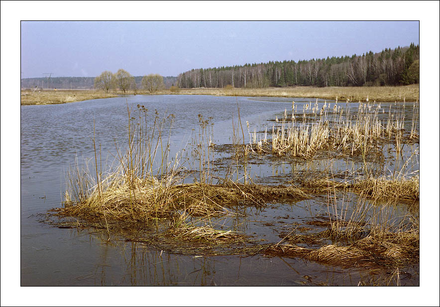 Весенние зарисовки 2007 