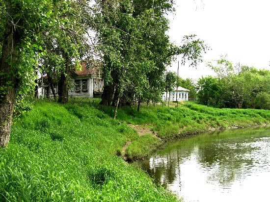 зелень лета зелень,природа,