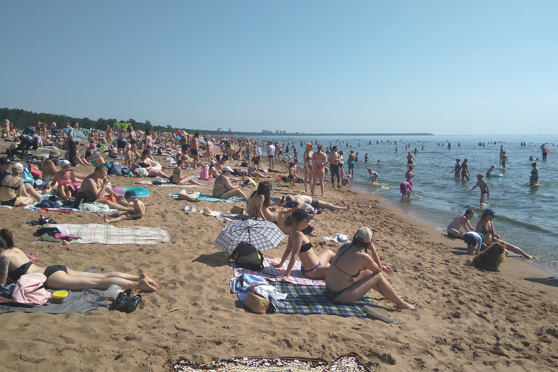 В Питер пришла жара... 