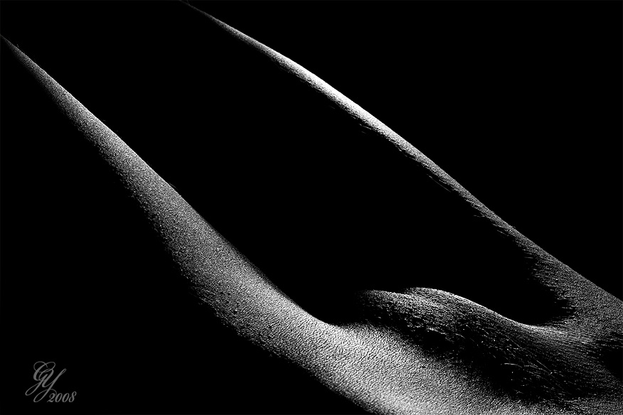 moonlight_010 