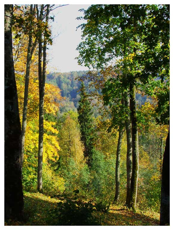 Sigulda 