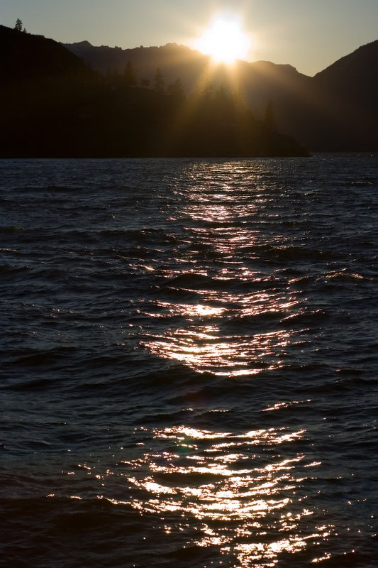 Black Hole Sun 