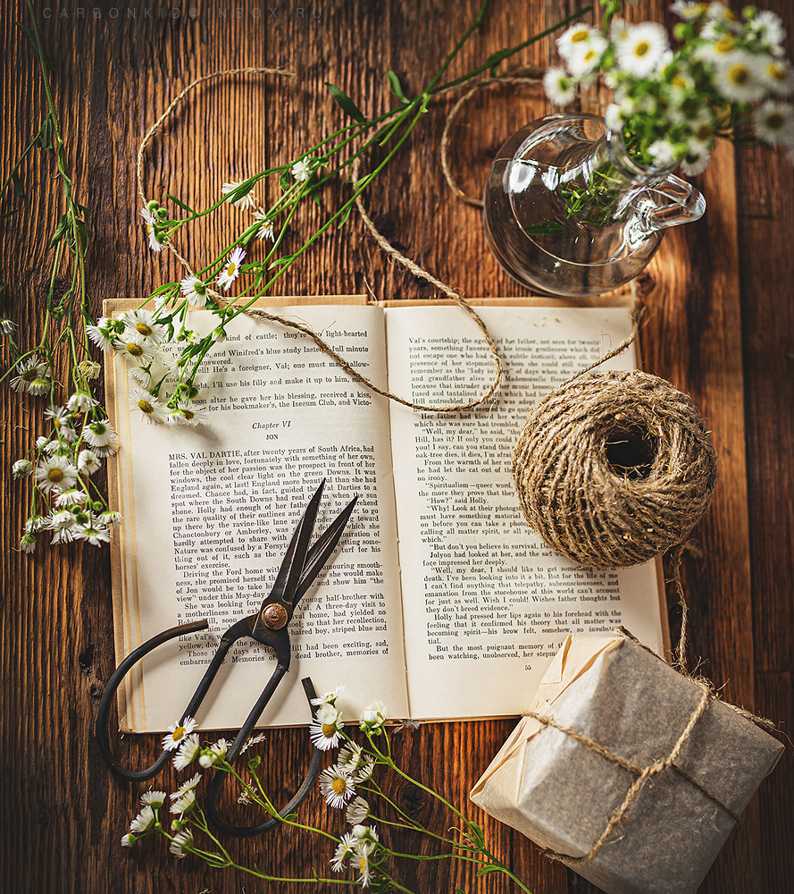 C H A P T E R   V I Книга ножницы ромашки натюрморт деревня