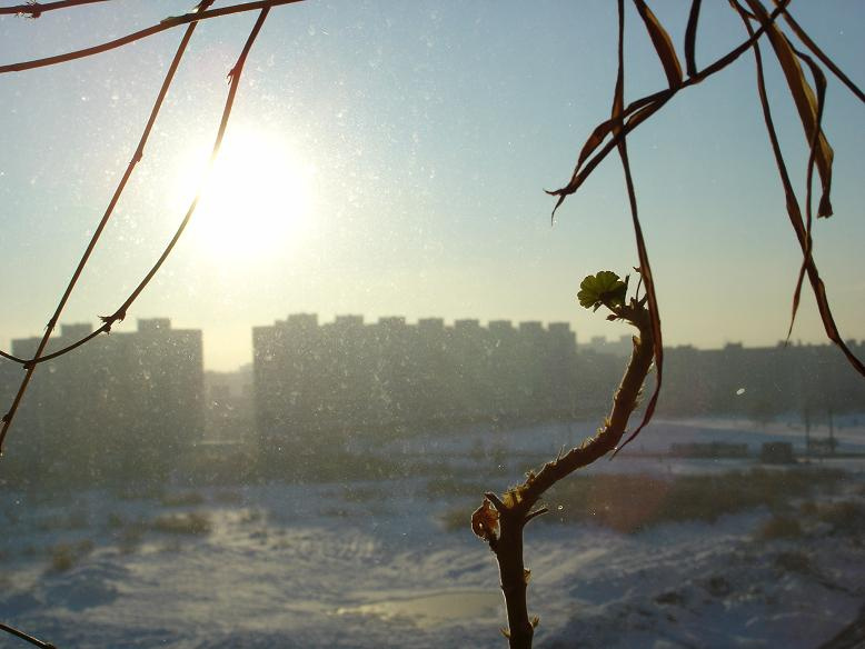 сквозь окно... Пейзаж, окно, стекло