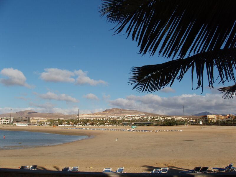 Playa Blanca, P.1 Canary Islands Fuertaventura Playa Blanca overview sand shore ocean palm