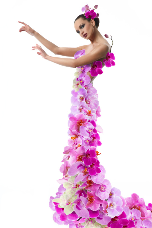 Flower Орхидея