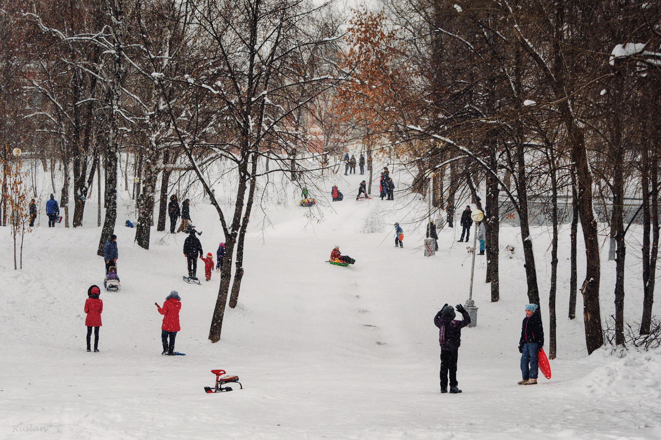 *** зима городской парк