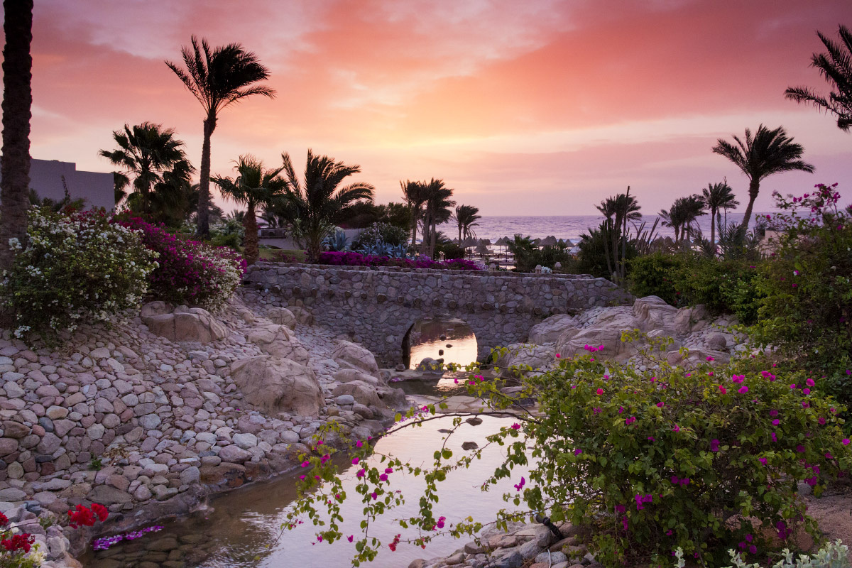 *** 