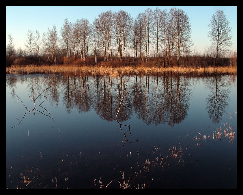 Зеркало большой воды. Весна, вода, отражение