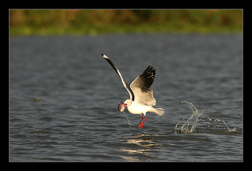 Завтрак 