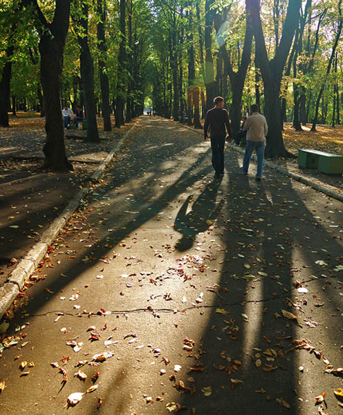 сентябрь 