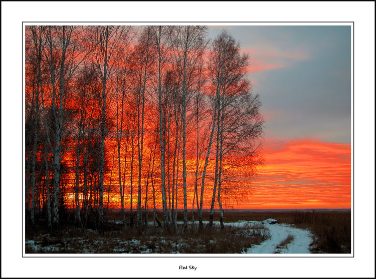 Red Sky 