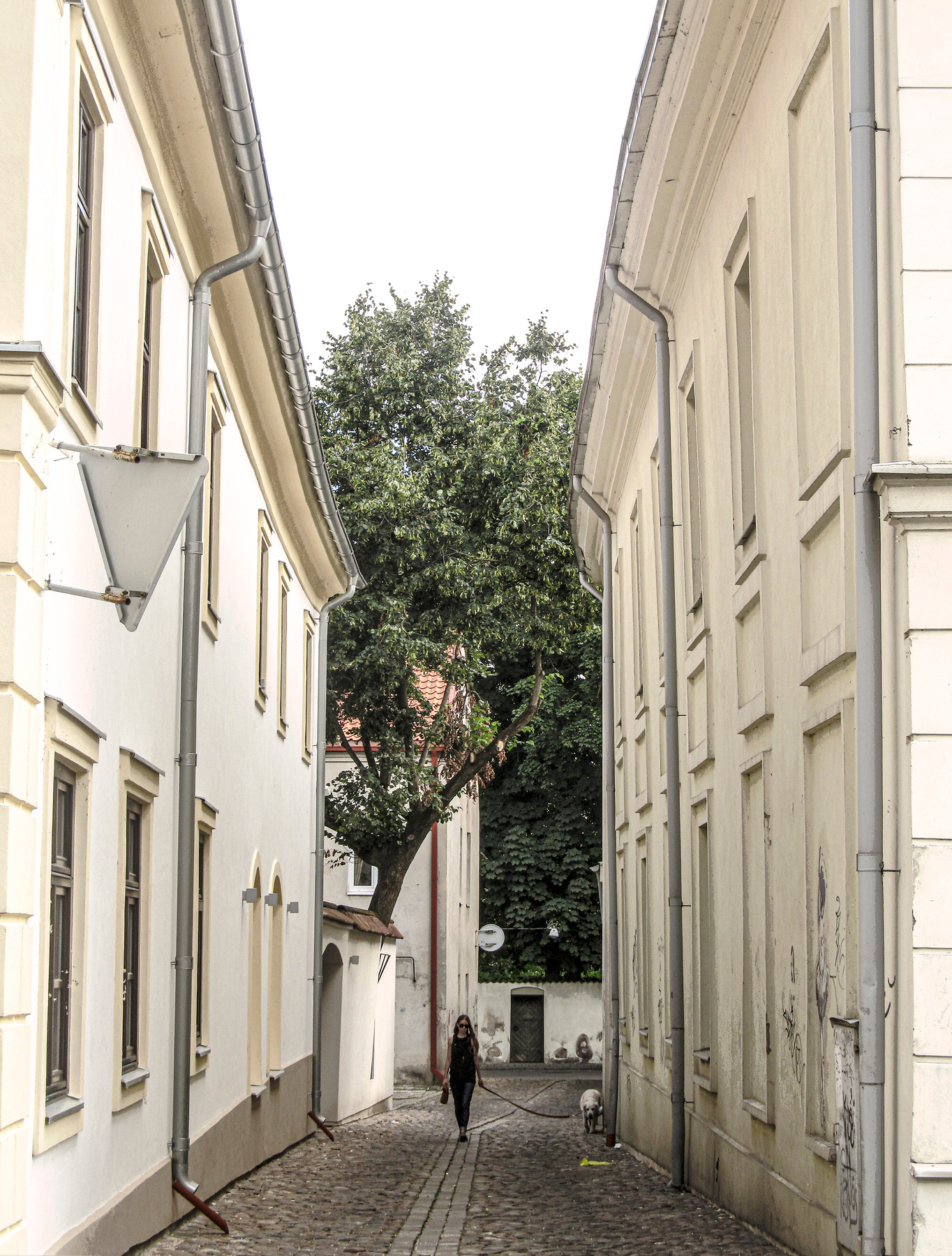Прогулка 