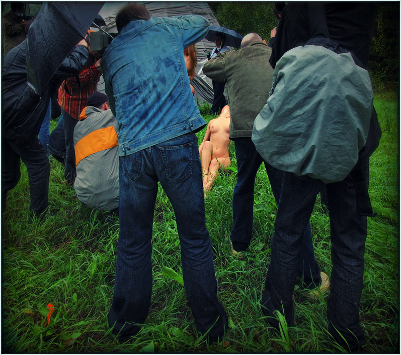 Rain Dogs дождь псы зонты фотографы 4274392