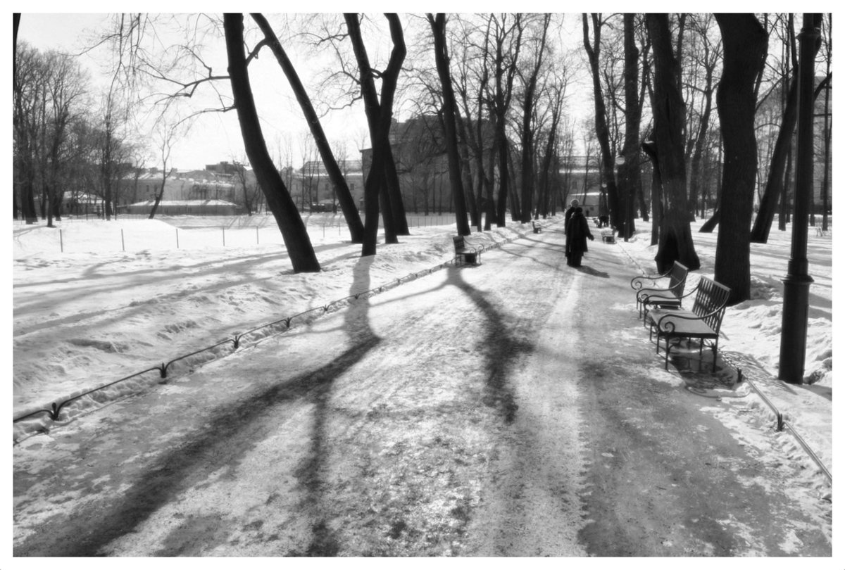 в парке 