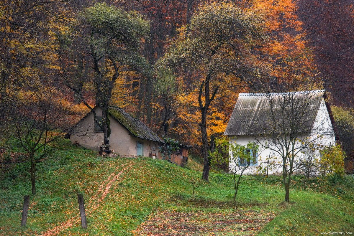 На задворках осени Карпаты, осень