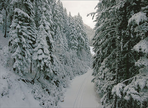 bansko* банско, болгария, зима