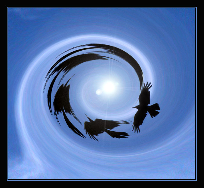 Raven... ворон