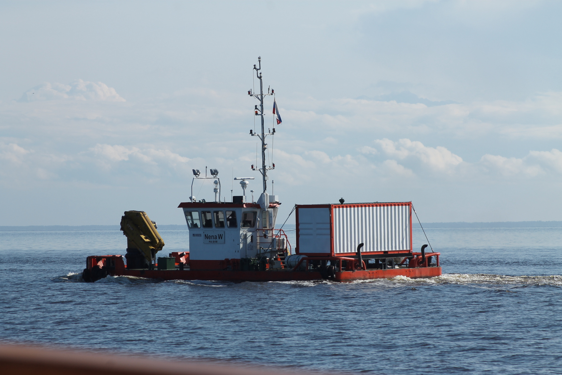 Чего только не встретишь на морских просторах Провинция Белое море
