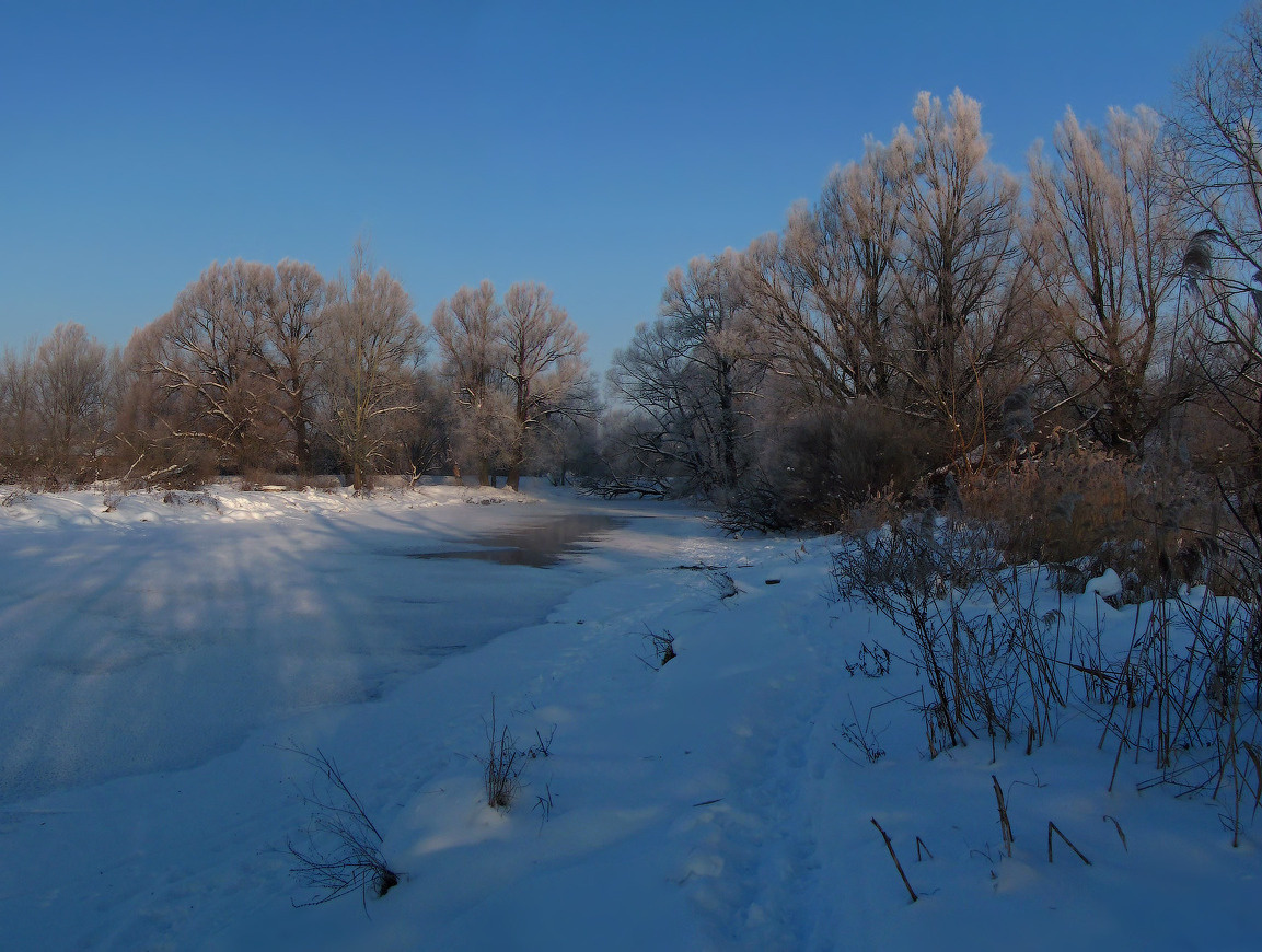По берегу зимней реки Река, зима, мороз, иней