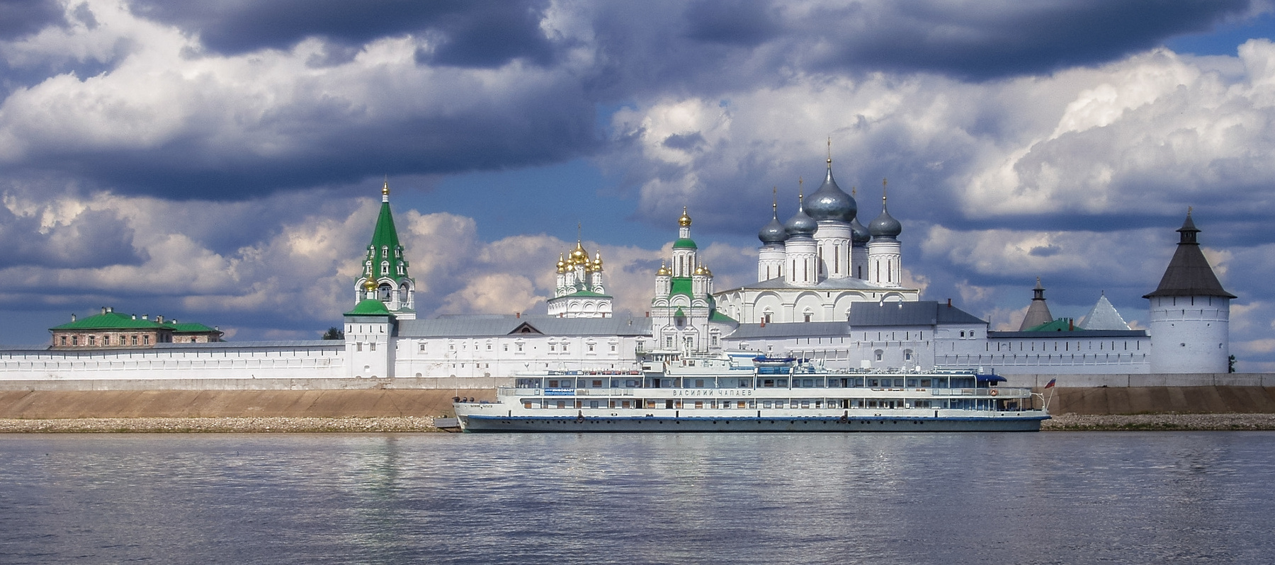 Лебедь белая 