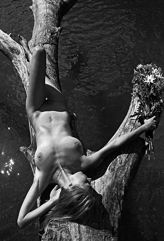 Nude on a dead tree 