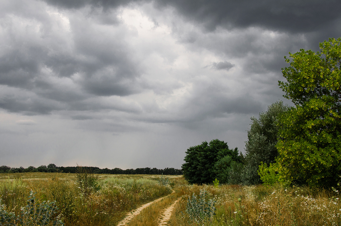The storm is coming Осень, буря, небо, дорога, поле, деревья