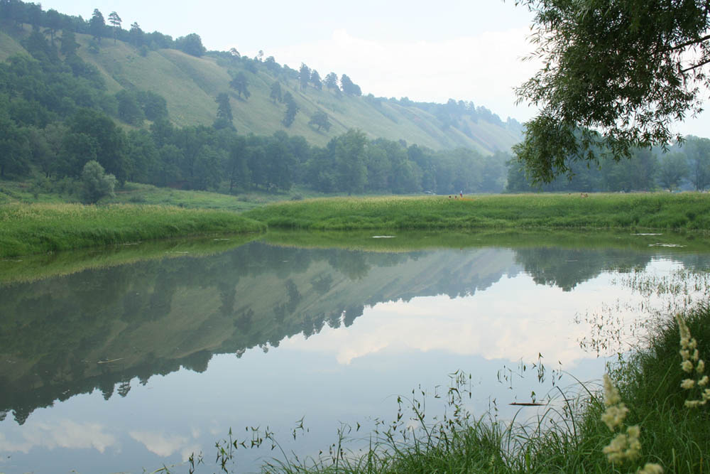 Большое в малом Вода, лес, гора, цветы
