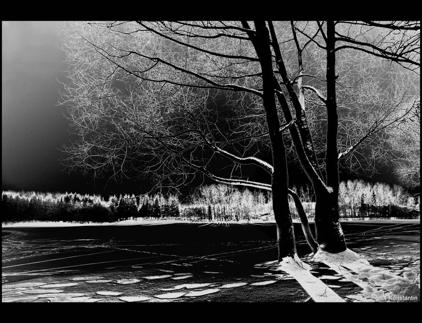 Черо-белая зима... 
