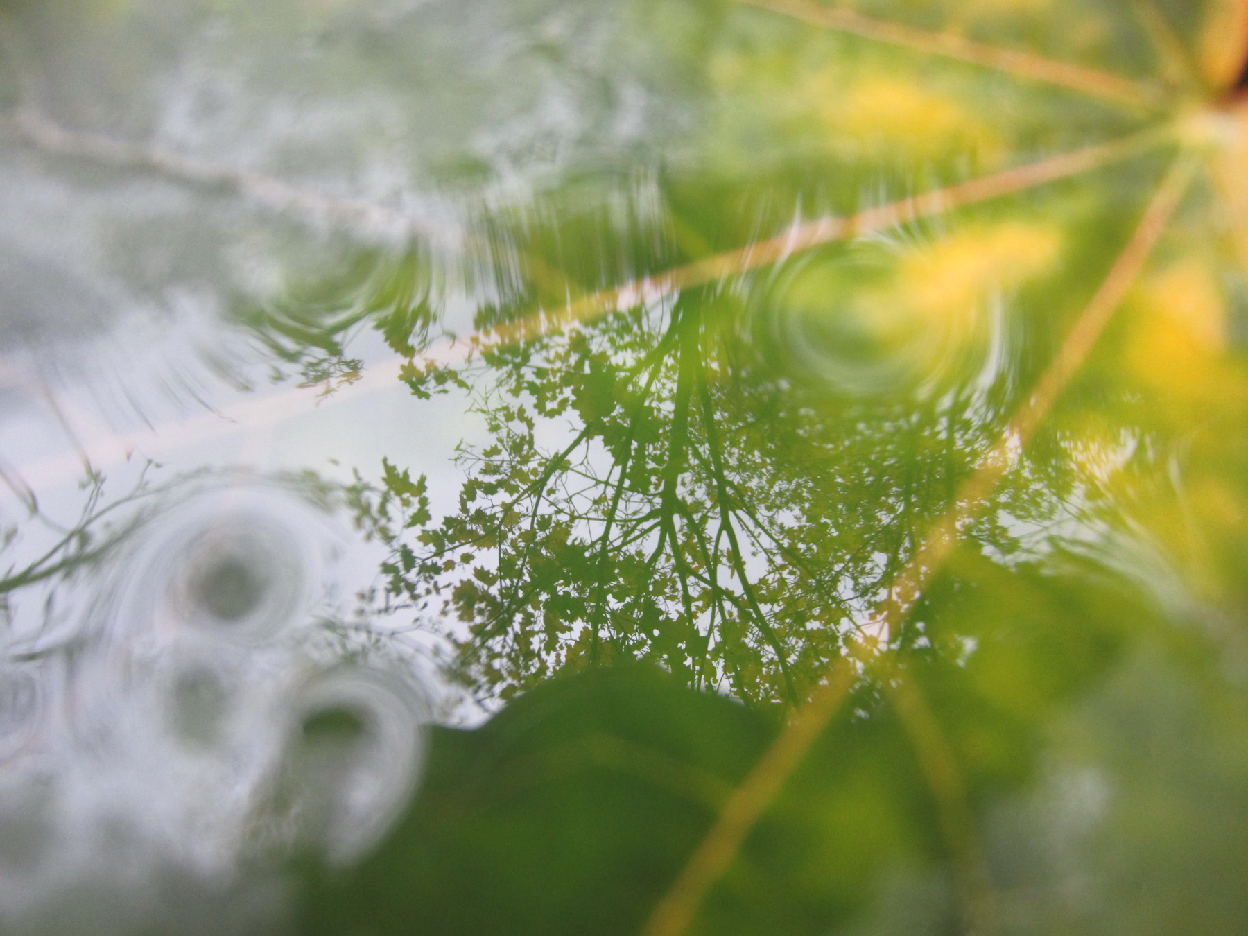 Осень 
