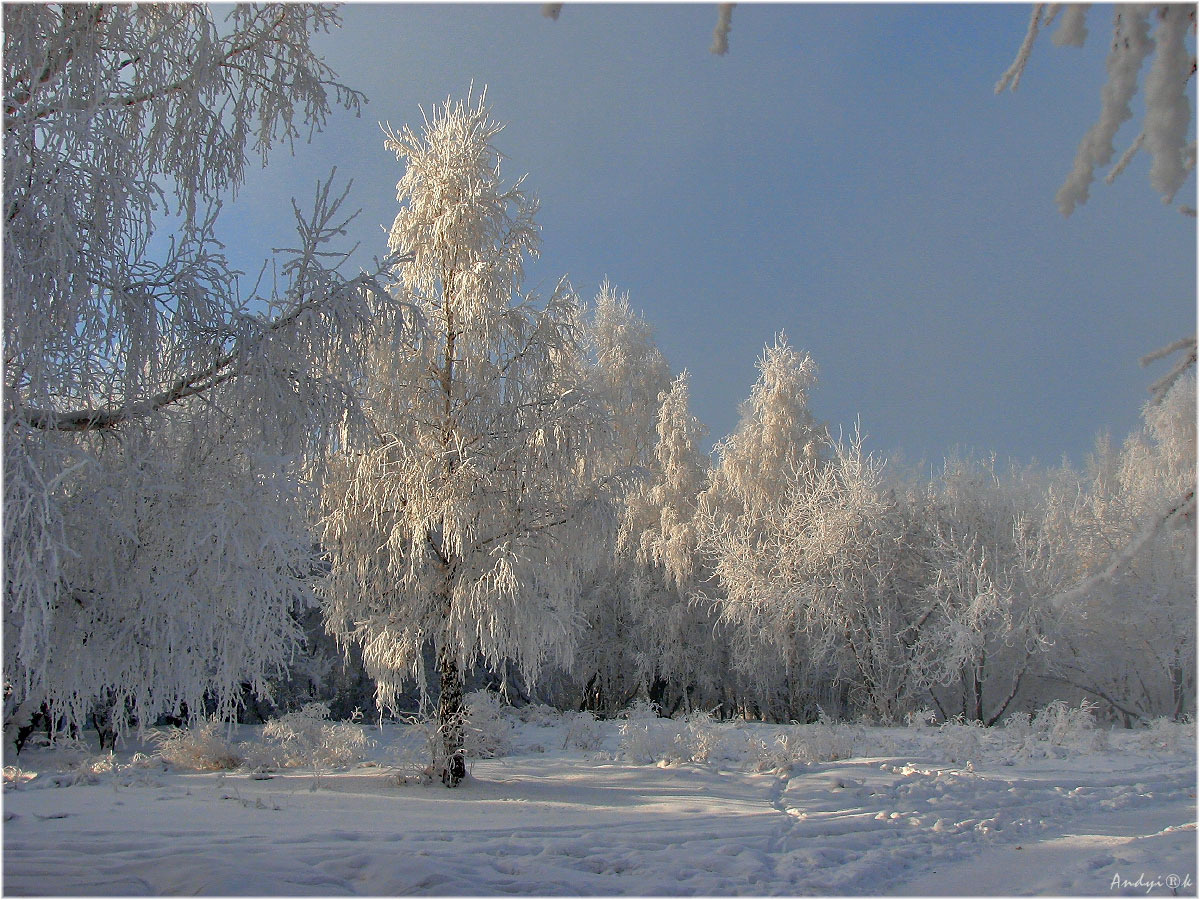 Утренний свет 2 